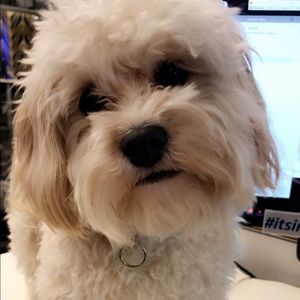 Meet your Posher, Shannen